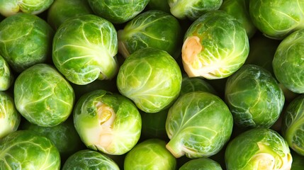 Fototapeta premium Fresh Green Brussels Sprouts Close Up Vegetable Background