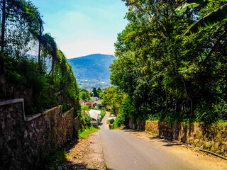 Empty rural road surrounded by lush greenery and stone walls, leading downhill to a village with a scenic mountain view in Indonesia on a sunny day.

