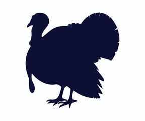 turkey bird vector illustration, silhouette of turkey vector art