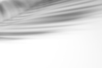 Palm leaf shadow overlay effect,tropical leaves shadows isolated on transparent png background