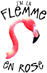 citation humour flemme en rose flamant drole