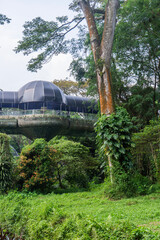 tall modern buildings behind lush trees