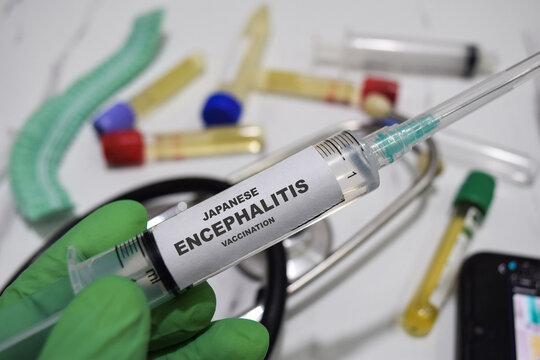 Japanese encephalitis vaccination drug syringe in green gloved hands. Medical concept