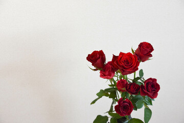 赤い薔薇