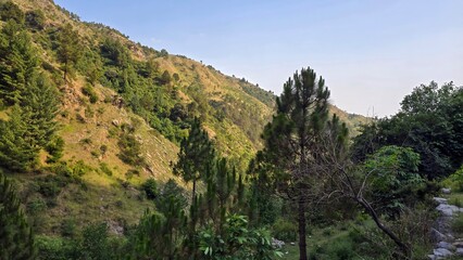 Fototapeta premium Lush green landscape, featuring gentle hills, vibrant flora, symbolizing outdoor exploration, nature, and relaxation