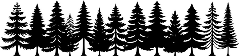 Pine Tree Silhouettes in Natural Forest Formation

