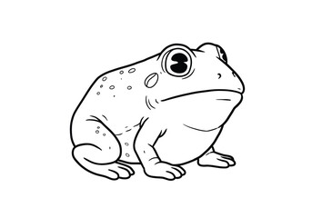 Pacman frog drawing. It is a black and white outline image of a Pacman frog, known for its round body and wide mouth. Vector sketch line art draw.