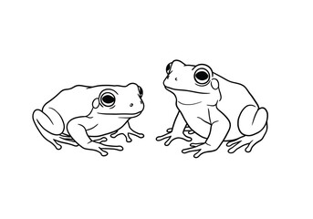 Two frogs drawing. It is a black and white outline image of two frogs sitting side by side, depicting a pair of amphibians. Vector sketch line art draw.