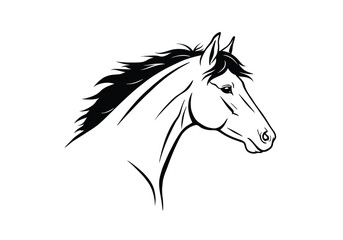 Horse side face drawing. It is a black and white outline image of a horse's head and neck in profile, showcasing its majestic and elegant features. Vector sketch line art draw.