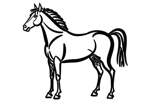 Picasso horse drawing. It is a black and white outline image of a horse in the distinctive minimalist and abstract style of Picasso's animal sketches. Vector sketch line art draw.