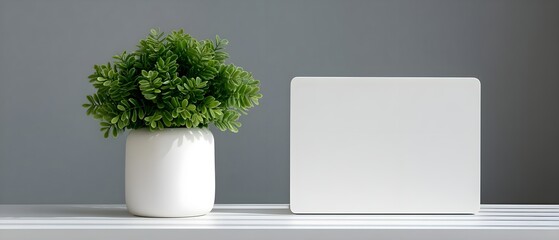 Minimalist workspace with a potted plant and blank tablet