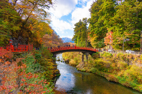Japan-November 13, 2023 : Scenic Landscape of Shinkyo Bridge surrounding with Colorful maple trees in Autumn, Shinkyo bridge is one of most famous landmark of Nikko, Tochigi	