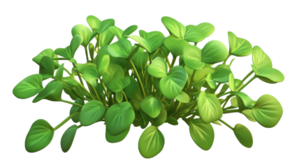 Lush green plant flourishing in a bright and vibrant indoor setting, capturing the essence of nature’s beauty and freshness at midday.