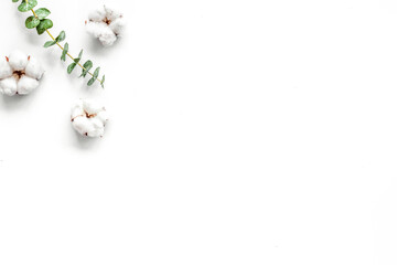 Natural flowers composition with eucalyptus branches and cotton on white background top view, flat lay copy space