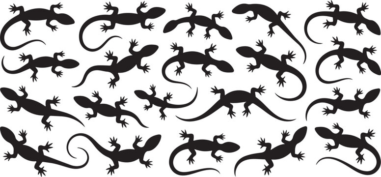 Silhouette collection of lizards reptile pattern