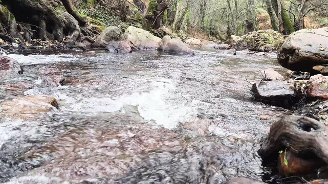 Crecida de corriente de rio con sonido de agua cristalina 