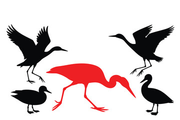 Silhouette of birds in flight and standing including heron and duck vector art