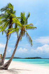 Sunny day at beautiful Chaweng Beach, with coconut palm trees and turquoise water in Koh Samui, Thailand. Holiday summer beach concept.
