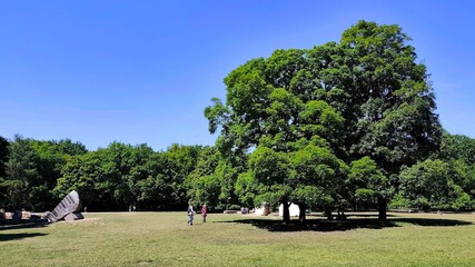 Photo of a sunny summer morning in Tiergarten (Animal garden), one of Berlin’s most beloved parks and among the largest urban gardens in Germany.