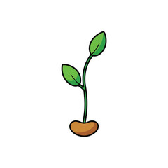 plant in a pot