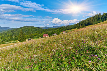 Fototapety na wymiar - Fototapeta24.pl