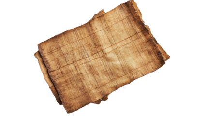 Ancient textile remnants displayed on a white background showcase intricate woven patterns, revealing stories of craftsmanship and culture through time.