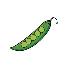 green peas isolated on white