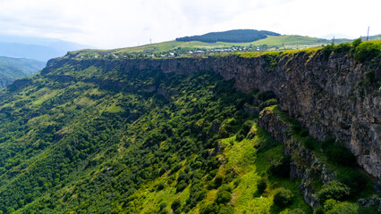 Aerial view of the dense greenery of the fores