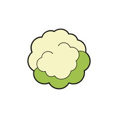 vector illustration of a head of a cabbage