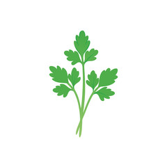 fresh parsley isolated on white