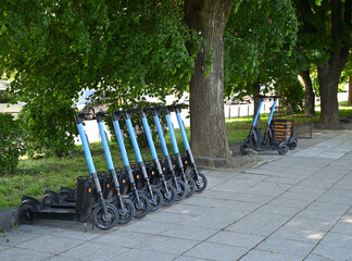 Multiple electric scooters lined up along a green park pathway in a sunny urban setting during the afternoon