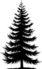 Pine tree silhouette in black and white vector illustration