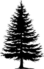 Pine tree silhouette in black and white vector illustration