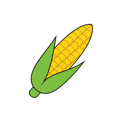 corn on the cob
