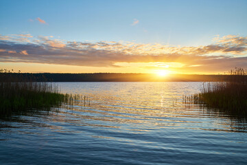 Sunrise over calm lake with reeds and forest horizon.