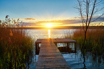 Wooden pier at sunrise over calm lake with reeds and forest.