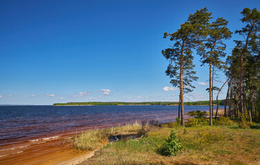 Forest lake view with pine trees and clear blue sky