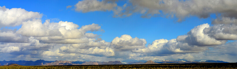 Panorama Landscape Sonoran Desert Arizona