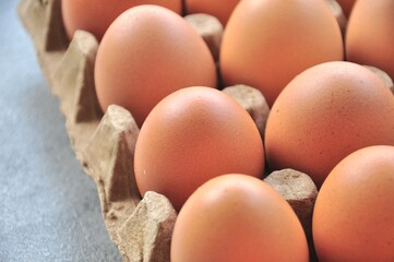 A close-up shot shows several brown eggs nestled in a gray cardboard egg carton.