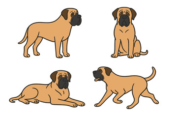 Obraz premium English Mastiff dogs in different poses including sitting and lying 