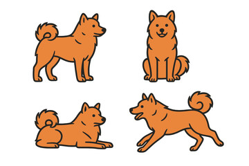Finnish Spitz in different poses and expressions on a transparent background