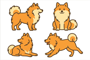 German Spitz in various poses on a transparent background