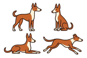 Ibizan Hound in different poses on a transparent background