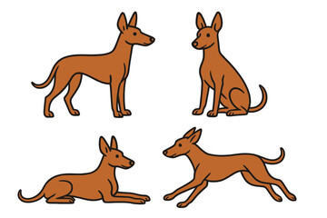 Pharaoh Hound in different poses on transparent background