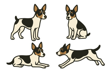 Naklejka premium Rat Terrier in different poses on transparent background