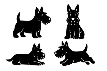 Scottish Terrier in different poses on transparent background