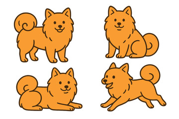 Volpino Italiano in different poses on transparent background