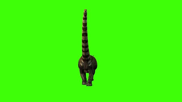 Puertasaurus Dinosaur Front View Walk Green Screen