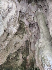 bark of rock