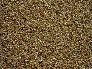 Close-up of golden sand grains, showcasing their varied shapes and colors, perfect for beach-themed designs and backgrounds.